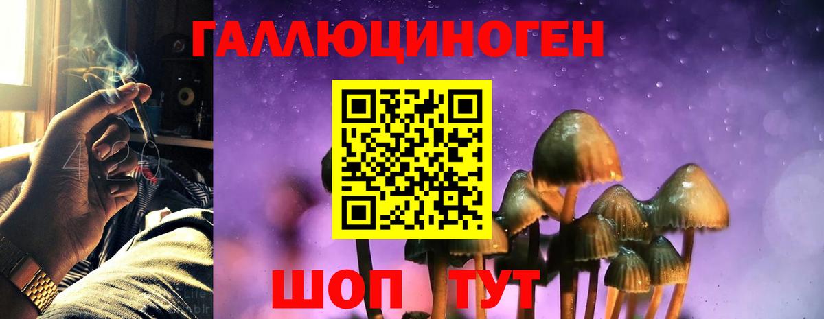 Галлюциногенные грибы MAGIC MUSHROOMS Лесосибирск